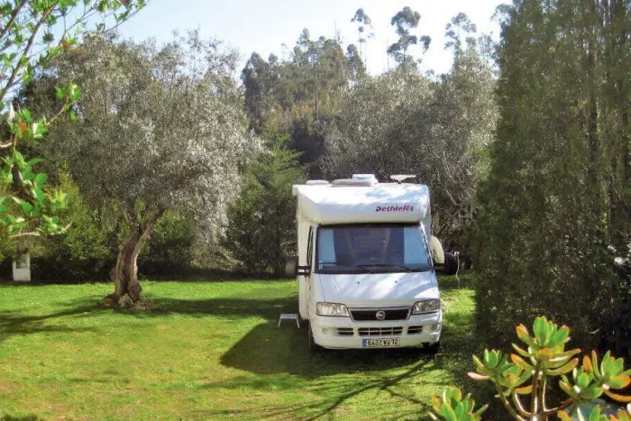 Camping - Tomar - Centro - Pelinos-Tomar