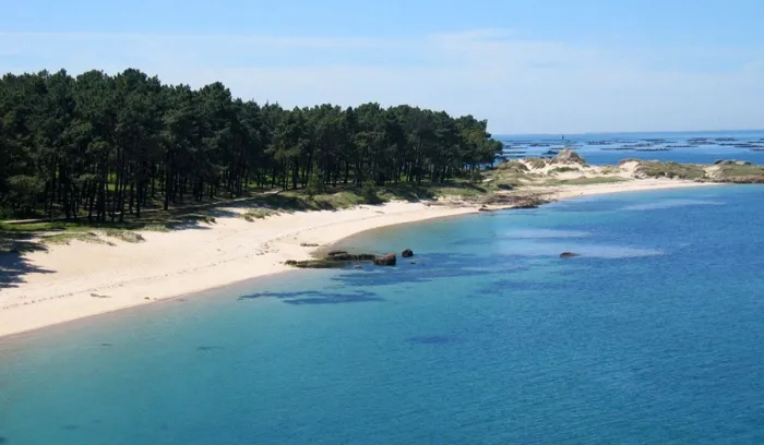 Camping - Vilanova de Arousa - Galice - Camping Playa Paisaxe I