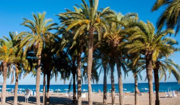 Camping La Vila Joiosa - 3 - campings