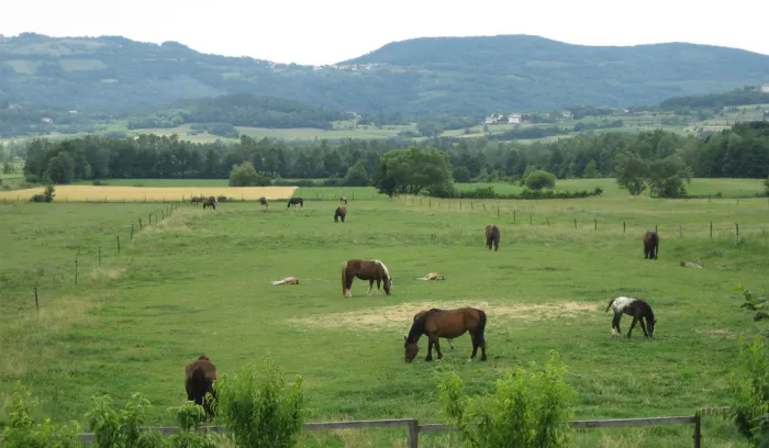 Camping - Ajdovščina - Gorizia - Camping Pri Rebkovih