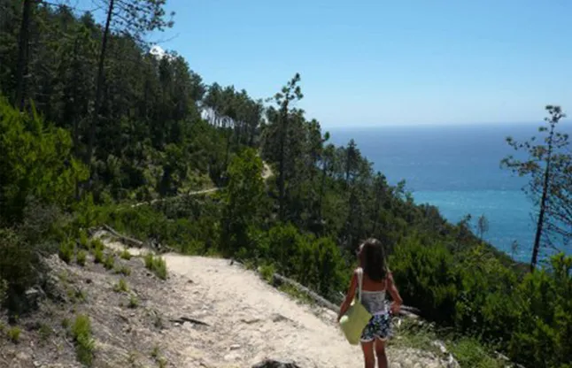 Camping - Castiglione Chiavarese - Ligurie - Camping Privé Parc Naturel Des Cinq Terres
