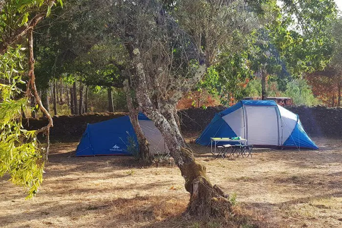 Camping - Castanheira de Pera - Centro - Camping Quinta do Castanheiro