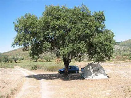 Camping - Castelo de Vide - Alentejo - Camping Quinta do Pomarinho