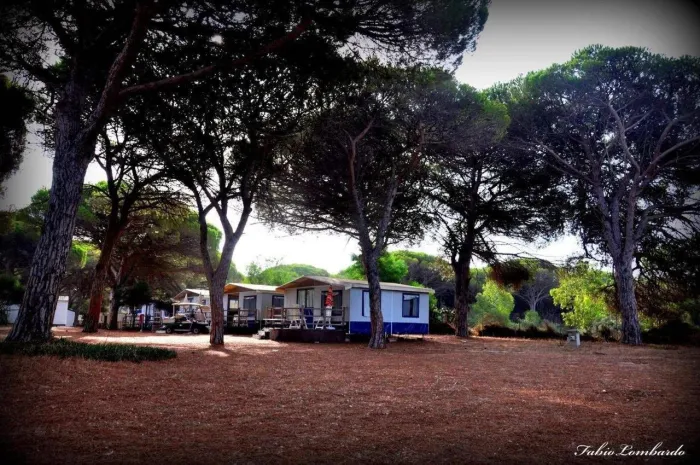 Camping - Arborea - Sardaigne - Camping S'Ena Arrubia