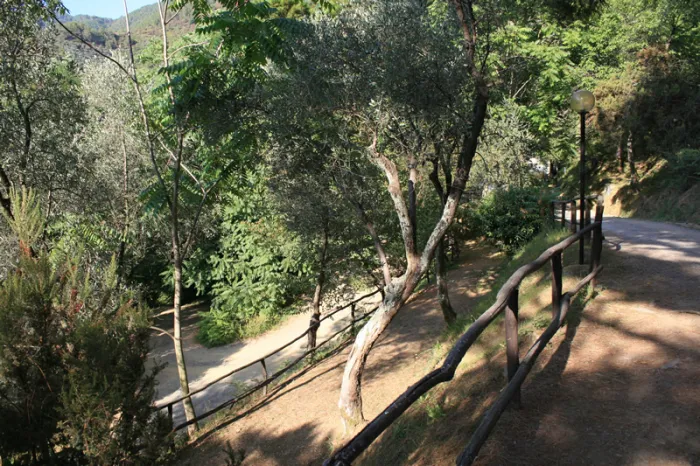 Camping - levanto - Ligurie - San Michele
