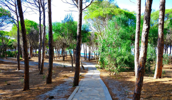 Camping Selema - Sardaigne - Siniscola - 350€/sem