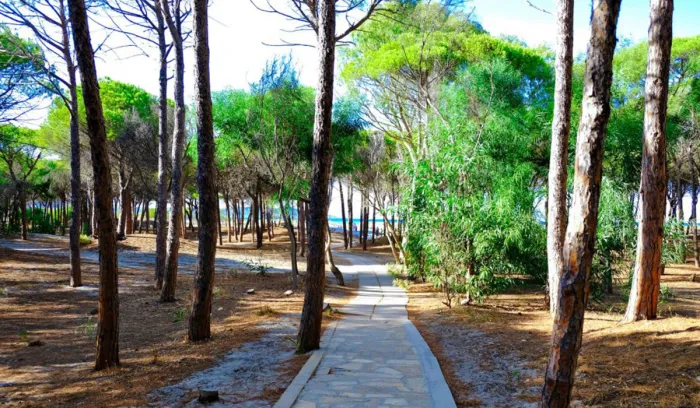 Camping - Siniscola - Sardaigne - Camping Selema
