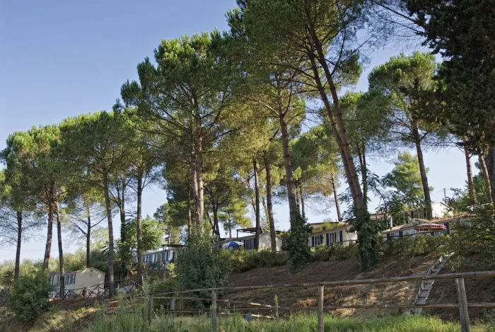 Camping - Montopoli Val d'Arno - Toscane - Toscana Village