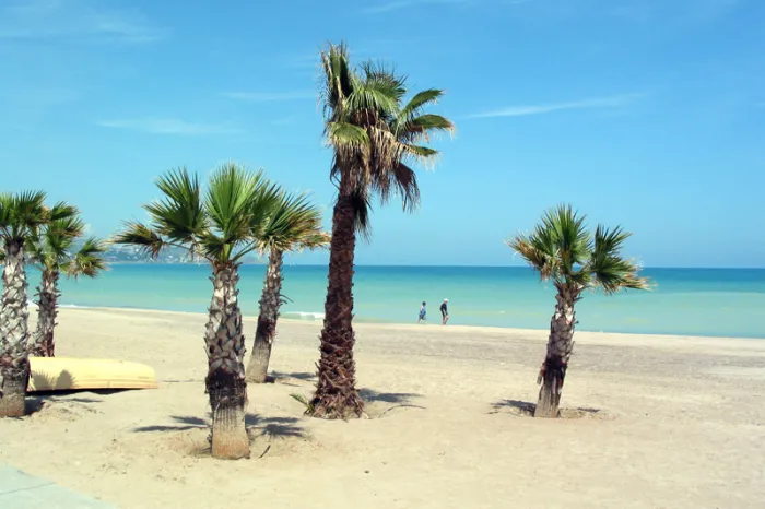 Camping - Benicassim - Communauté de Valence - Camping Tauro