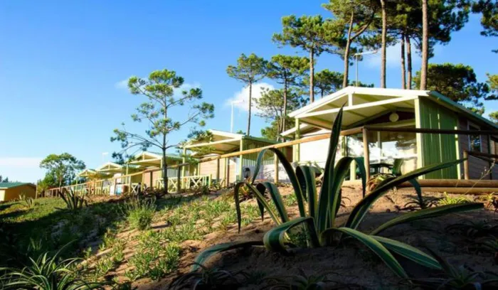 Camping - Nazaré - Centro - Camping Vale Paraíso Natur Park