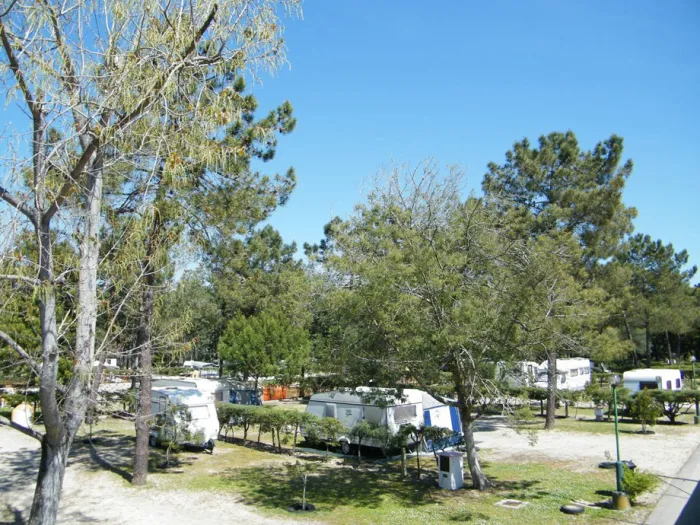 Camping - Lagoa - Centro - Camping Vila Caia