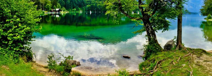 Camping - Bohinjska Bistrica - Haute-Carniole - Camping Zlatorog