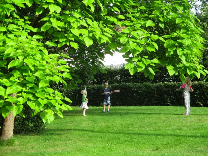 Camping - Vittel - Lorraine - Camping de Vittel