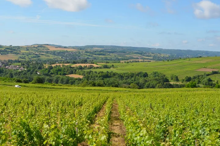 Camping - Santenay - Bourgogne - Camping des Sources