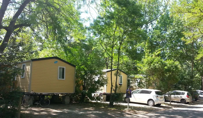 Camping - Avignon - Provence-Alpes-Côte d'Azur - Camping du Pont d'Avignon