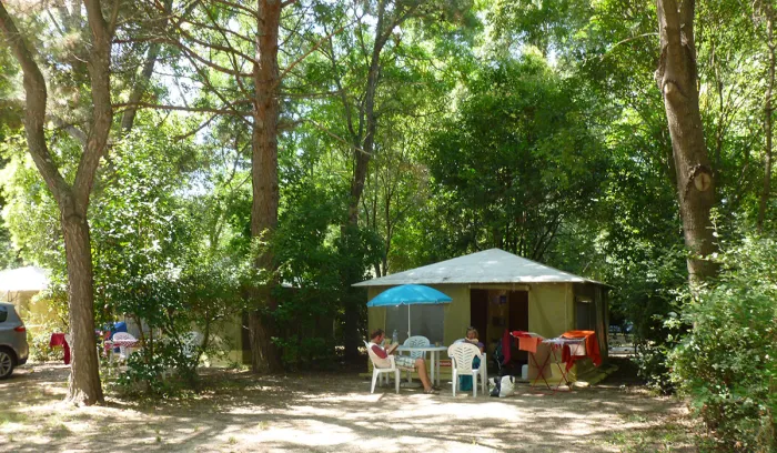 Camping - Avignon - Provence-Alpes-Côte d'Azur - Camping du Pont d'Avignon