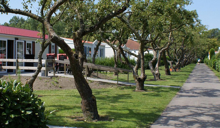 Camping Mer du Nord - 53 - campings