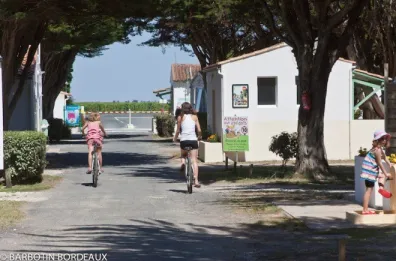 Camping - Ars-en-Ré - Poitou-Charentes - Campiotel des Dunes