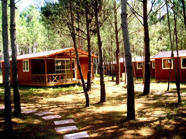 Camping - Odeceixe - Algarve - Campismo Sao Miguel