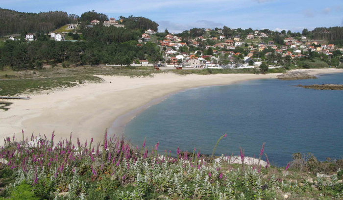 Camping Cangas - 3 - campings