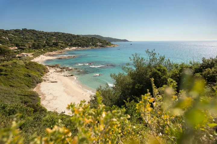 Camping - Ramatuelle - Provence-Alpes-Côte d'Azur - Cap Taillat