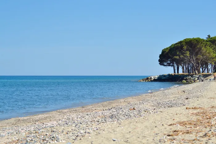 Camping - Santa-Maria-Poggio - Corse - Casa e Natura
