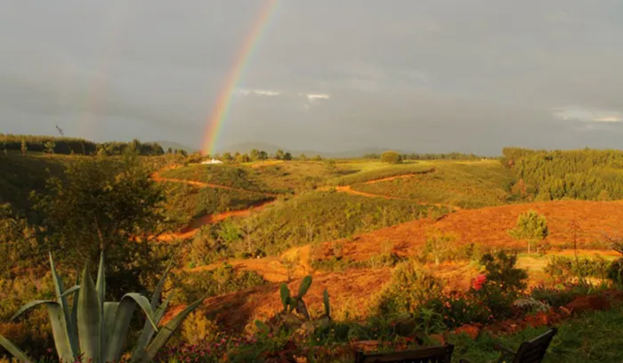 Camping - São Teotónio - Alentejo - Casas Novas da Palmeira