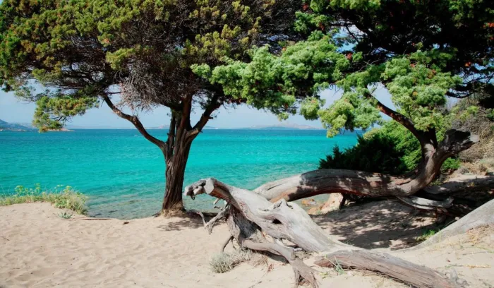 Camping - Cannigione - Sardaigne - Centro Vacanze Isuledda