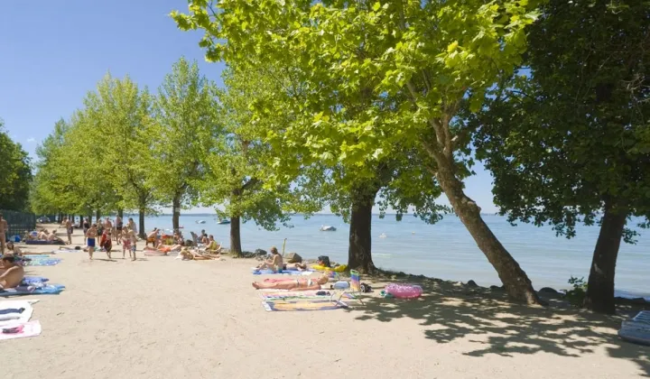 Camping - Cisano di Bardolino - Vénétie - Cisano San Vito