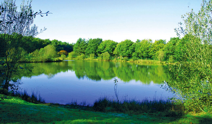 Camping - La Boissière-de-Montaigu - Pays de Loire - Camping Coeur de Vendée - Image #9