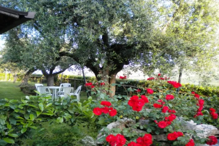 Camping - Massignano - Marches - Countryhouse Il Girasole