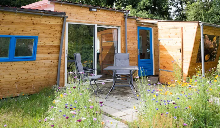Camping - zeegse - Drenthe - De Groene Valk