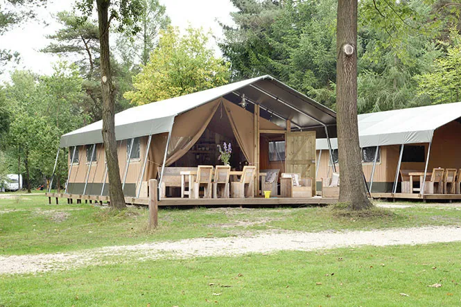 Camping - Emst - Gueldre - De Wildhoeve