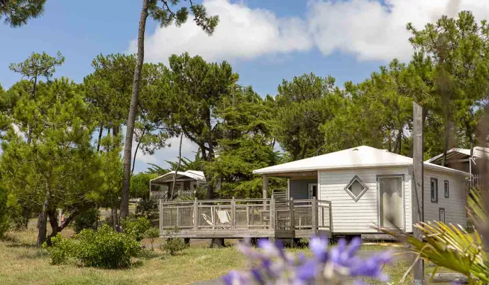Camping - Barbâtre - Pays de Loire - Domaine Le Midi