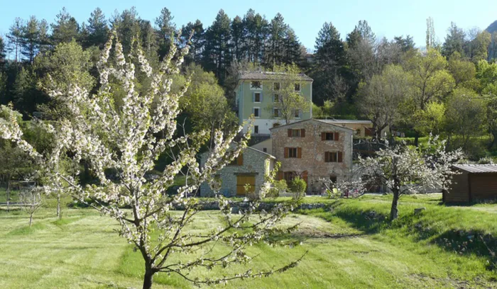 Camping - Castellane - Provence-Alpes-Côte d'Azur - Domaine Les Framboiseilles