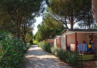 Camping - Argelès-sur-Mer - Languedoc-Roussillon - Domaine de la Pinède Enchantée