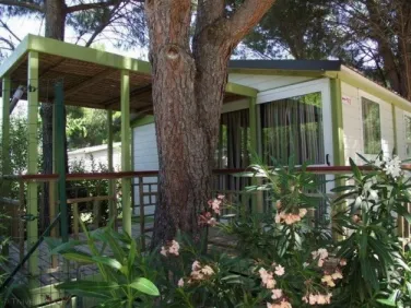 Camping - Argelès-sur-Mer - Languedoc-Roussillon - Domaine de la Pinède Enchantée