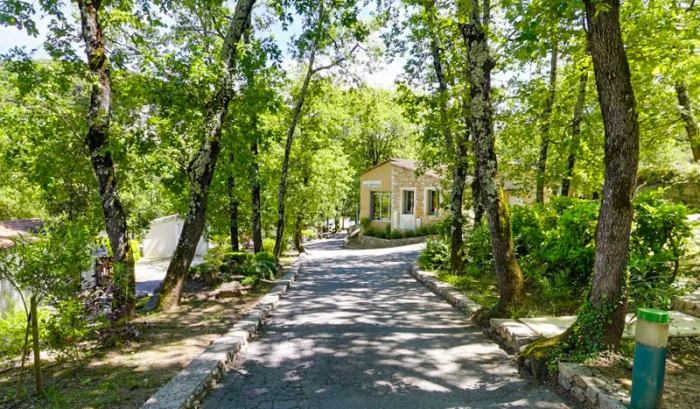 Camping - Salavas - Rhône-Alpes - Domaine des Blachas