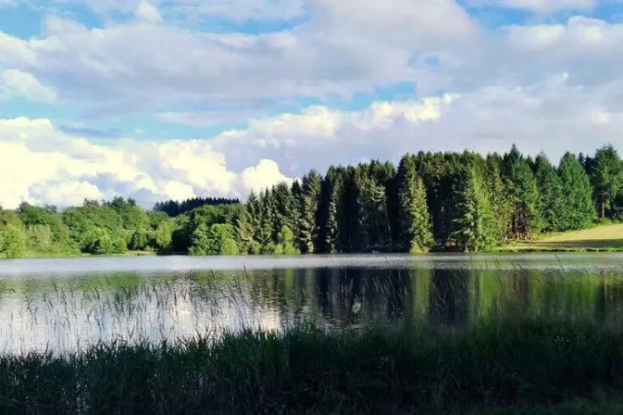 Camping - Condat-en-Combraille - Auvergne - Domaine du Balbuzard