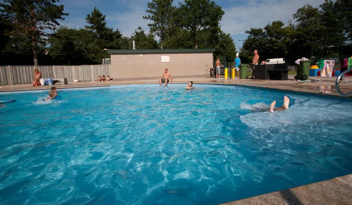 Camping - wassenaar - Hollande-Méridionale - Duinhorst