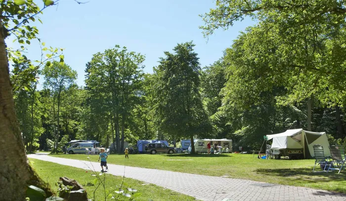 Camping - wassenaar - Hollande-Méridionale - Duinrell