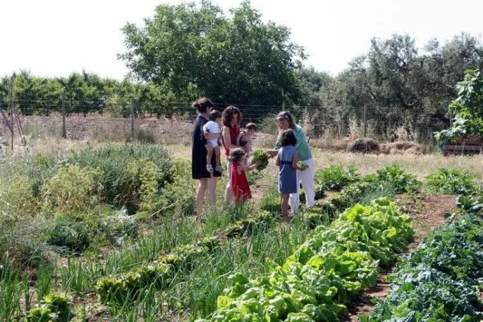 Camping - Vinyols i els Arcs - Catalogne - Ecocamp Vinyols