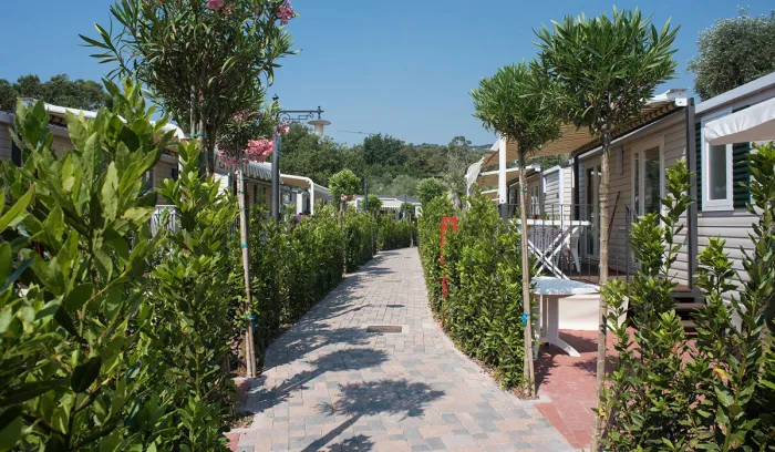 Camping - Diano Marina - Ligurie - Edy
