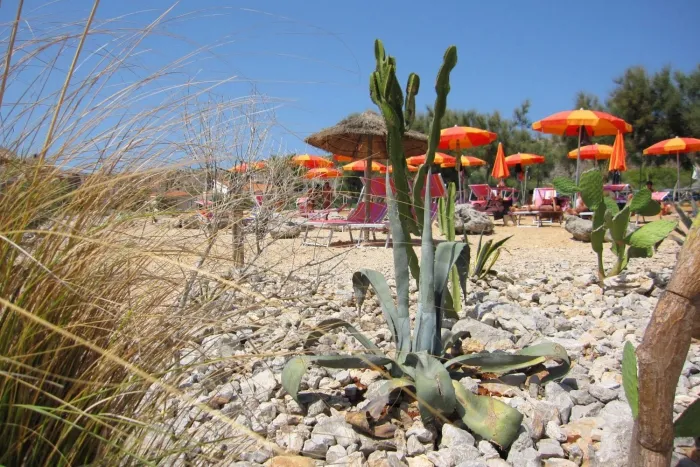 Camping - San Vito Lo Capo - Sicile - El Bahira