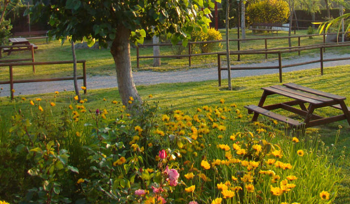 Camping - Solsona - Lérida - El Solsonès