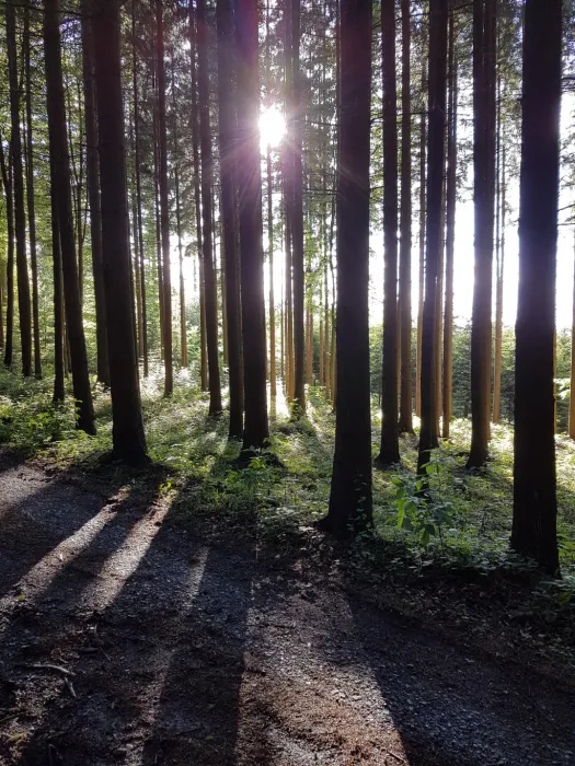 Camping - Neubulach - Bade-Wurtemberg - Erbenwald