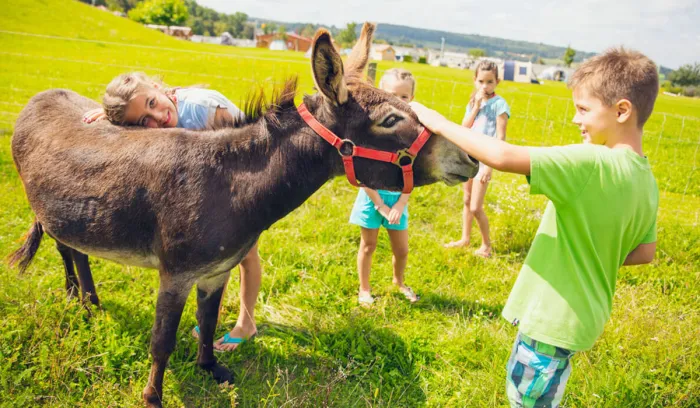 Camping - orsingen - Bade-Wurtemberg - Ferienpark Orsingen