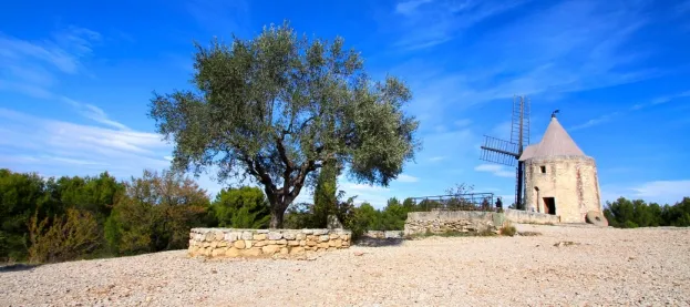 Camping - Fontvieille - Provence-Alpes-Côte d'Azur - Fontvieille