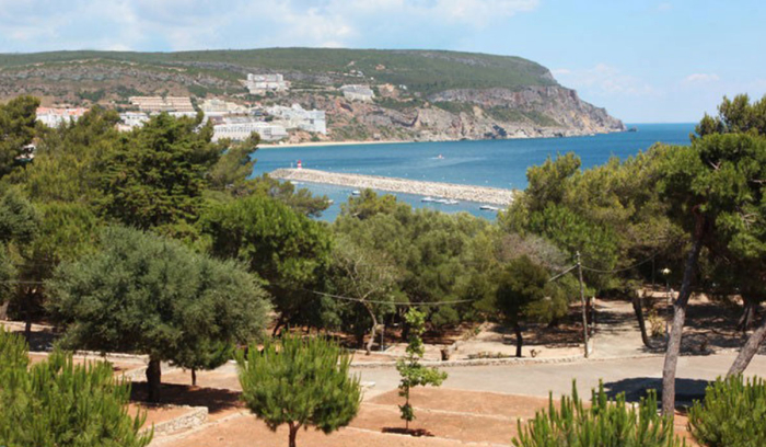 Camping Sesimbra - 3 - campings