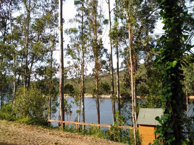 Camping - Figueiró dos Vinhos - Centro - Foz de Alge